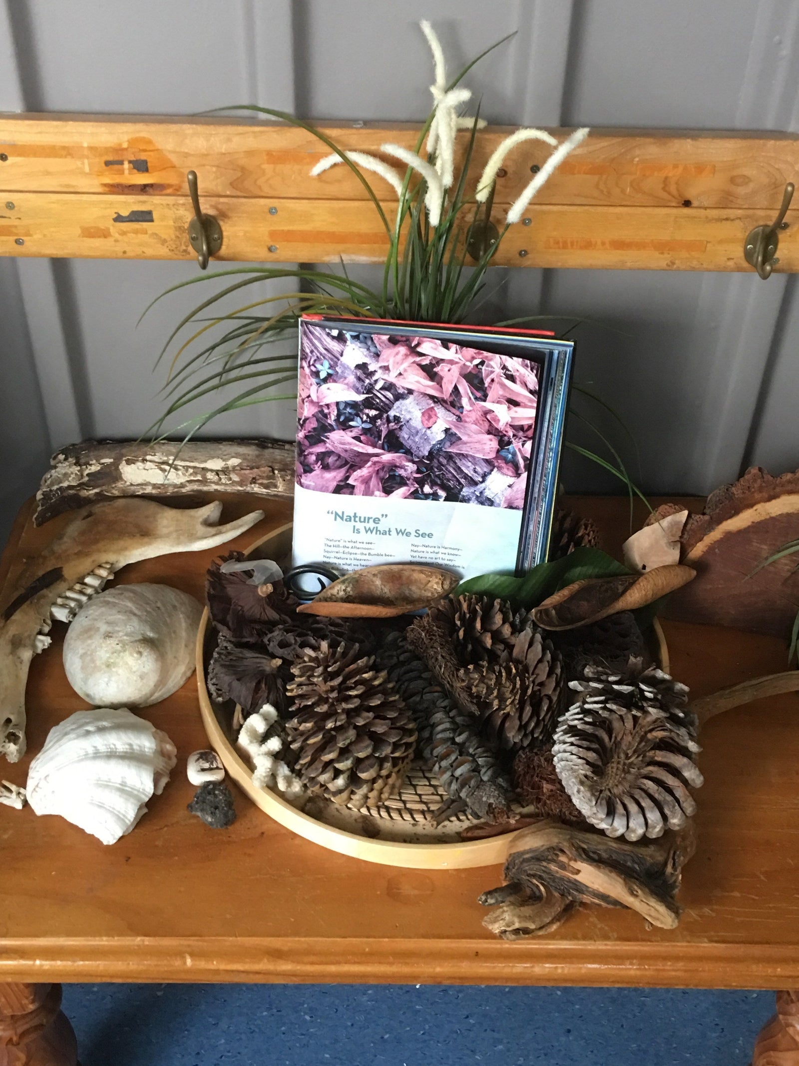 Koori Curriculum visits Explore & Develop Narraweena