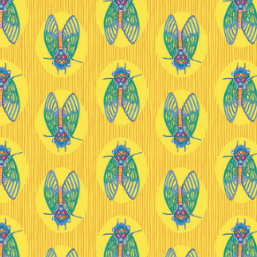 All Wrapped Up: Birds & Bugs  By Bronwyn Bancroft