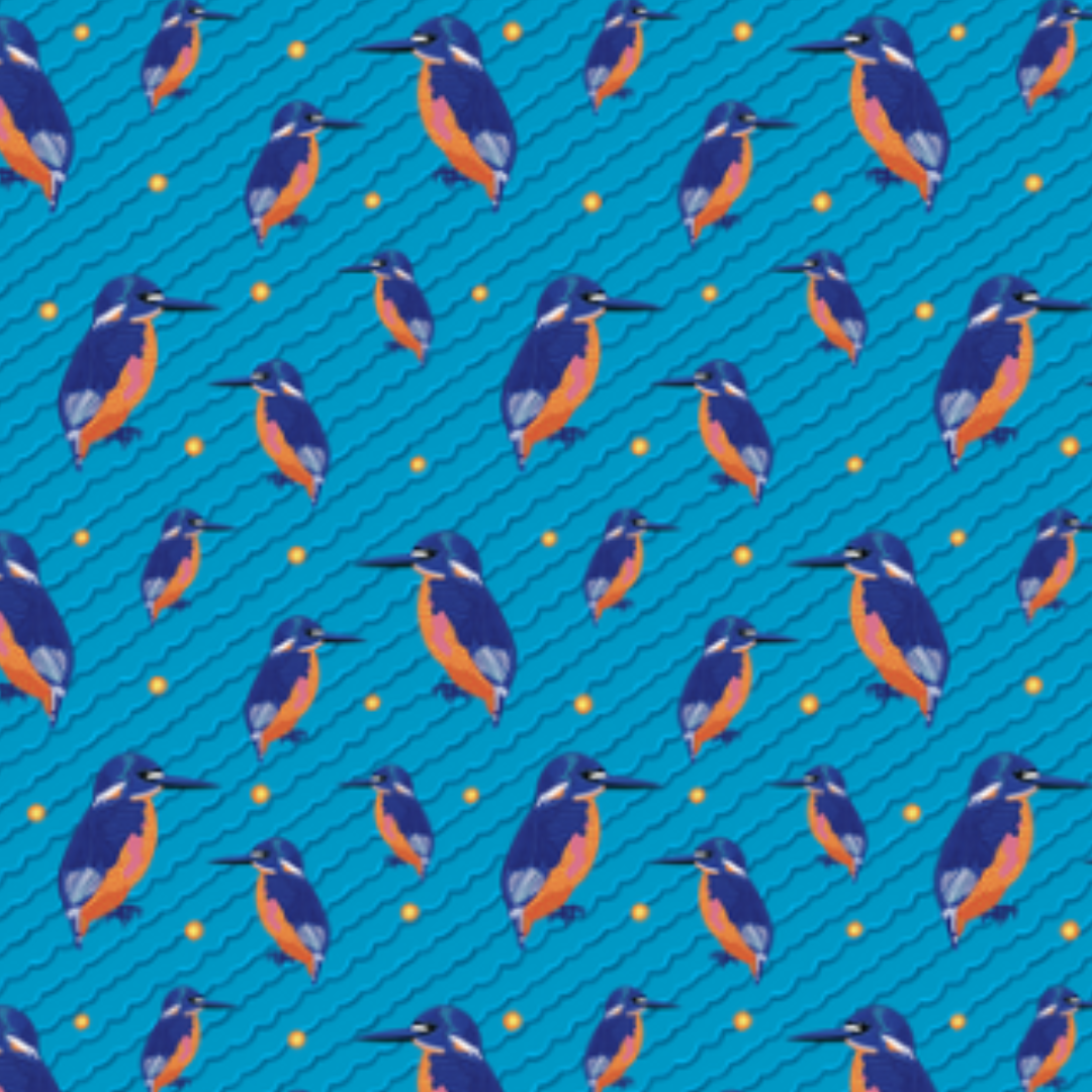 All Wrapped Up: Birds & Bugs  By Bronwyn Bancroft