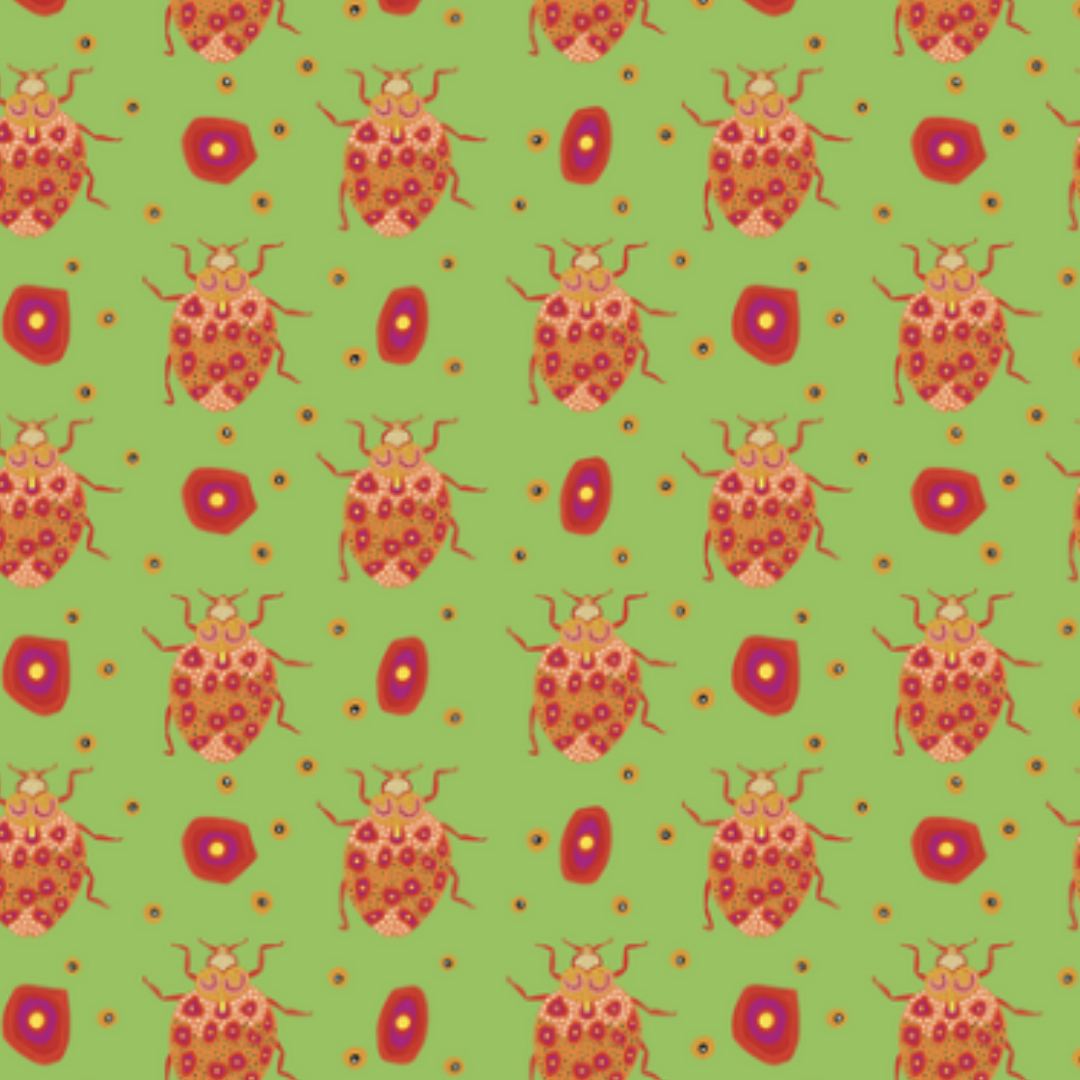 All Wrapped Up: Birds & Bugs  By Bronwyn Bancroft