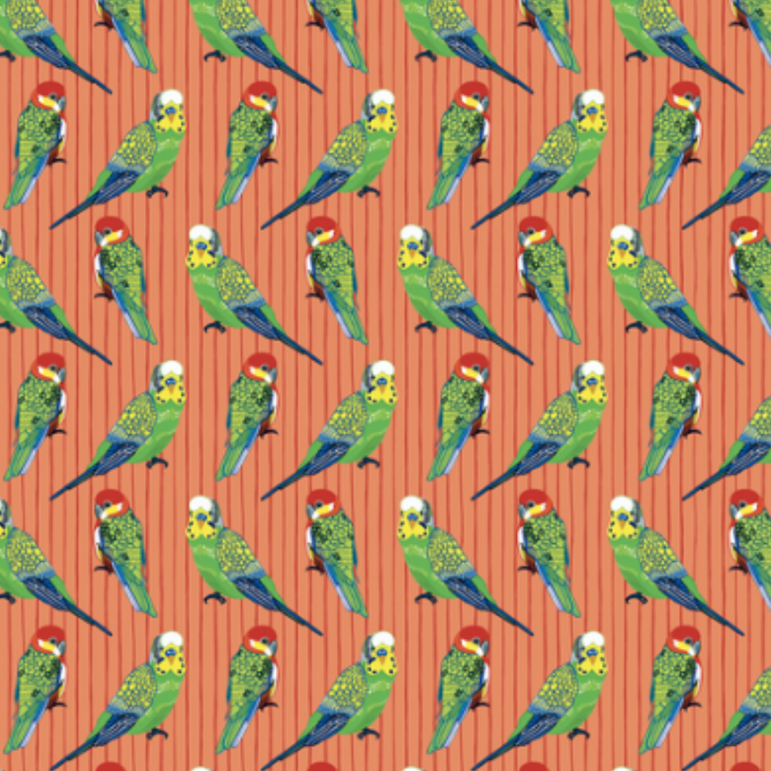 All Wrapped Up: Birds & Bugs  By Bronwyn Bancroft