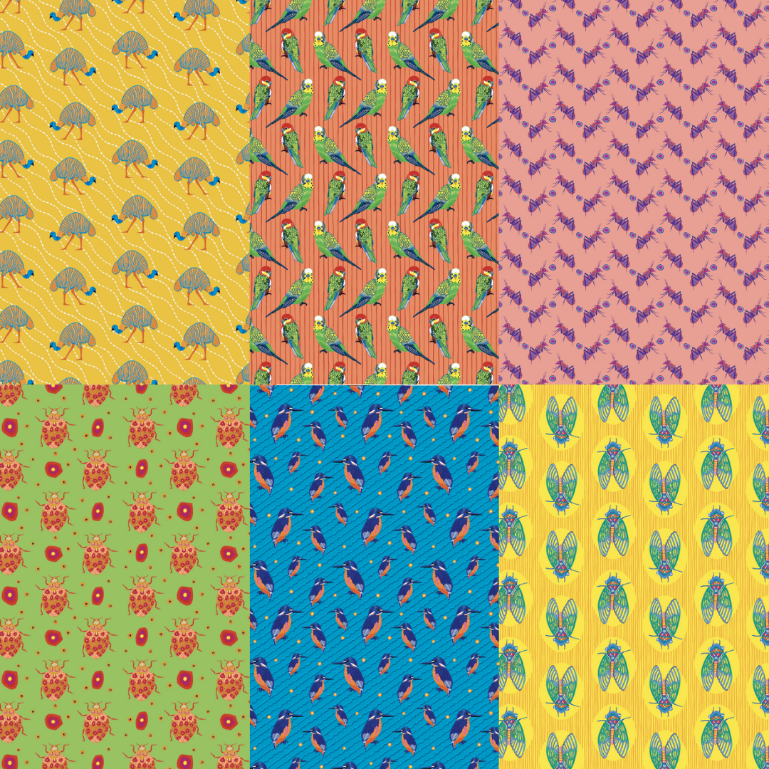 All Wrapped Up: Birds & Bugs  By Bronwyn Bancroft