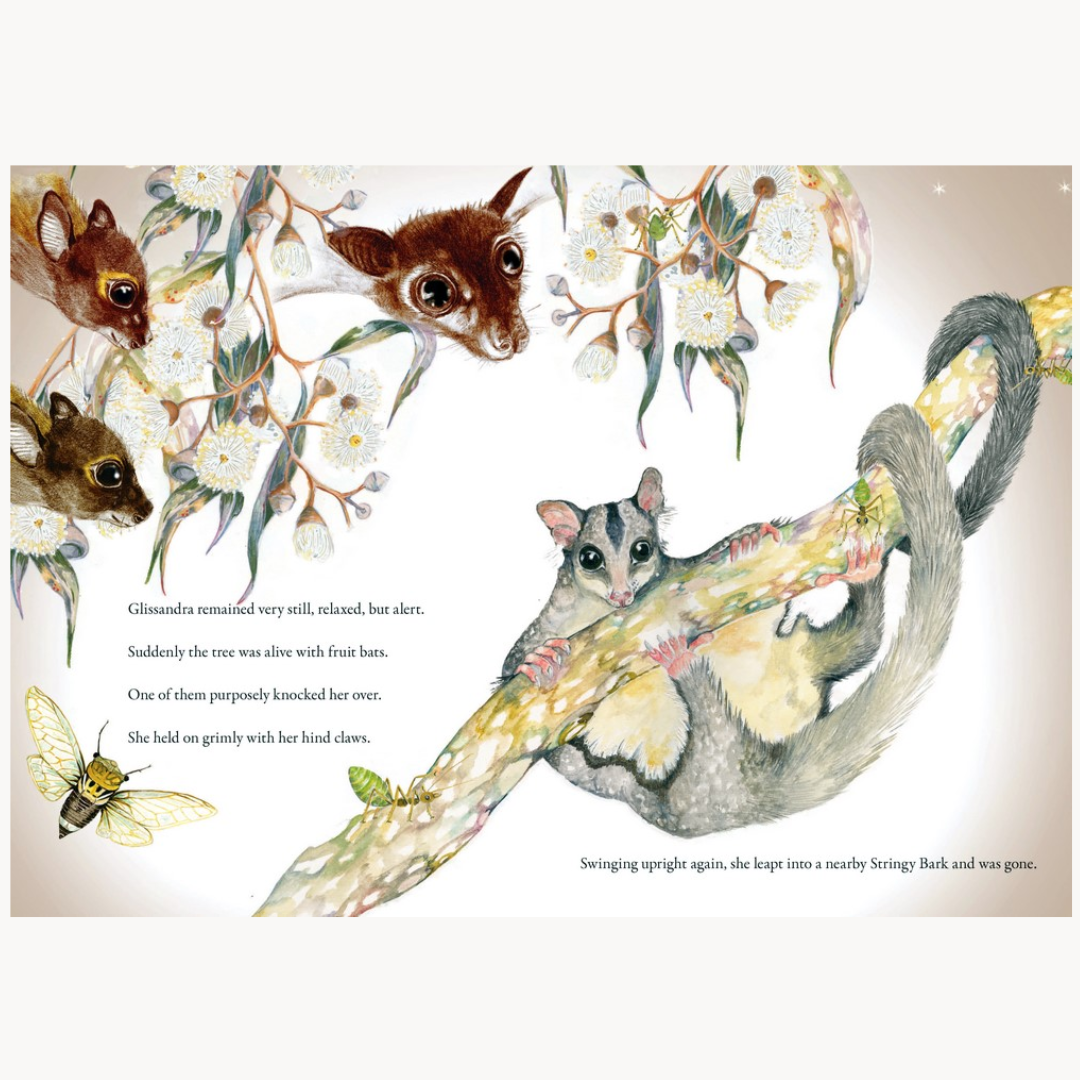 "Glissandra the Glider" By Pam Galeano, Daryl Dickson (Illustrator)