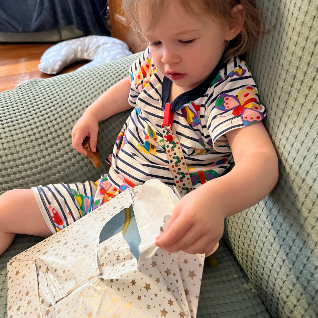 “Big Fella Rain” By Beryl Webber, Fern Martins (Illustrator)