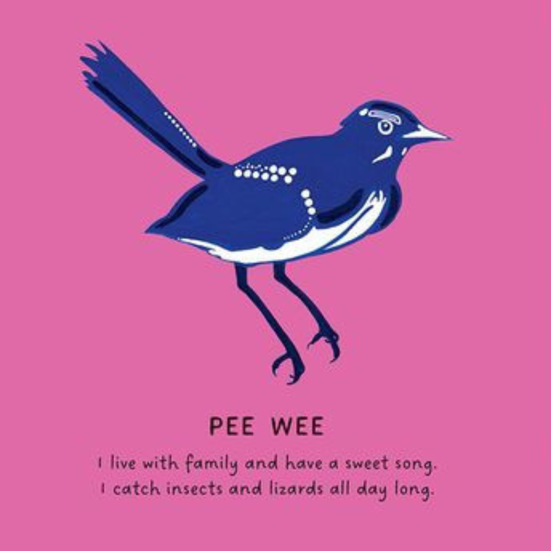 "Our Birds: A Celebration of Australian Wildlife" By Bronwyn Bancroft