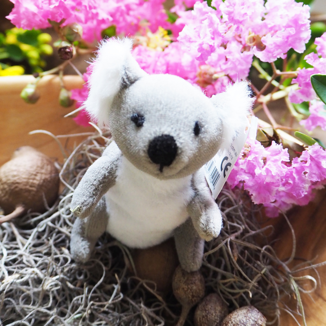 Country Connections: Native Animals Play & Learn Set