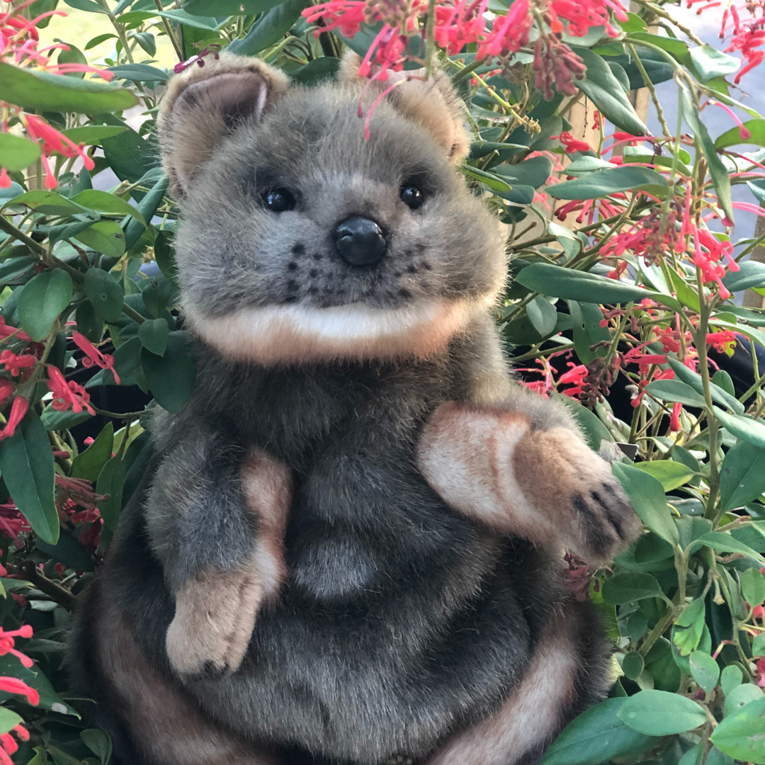 Quokka Puppet 33CM