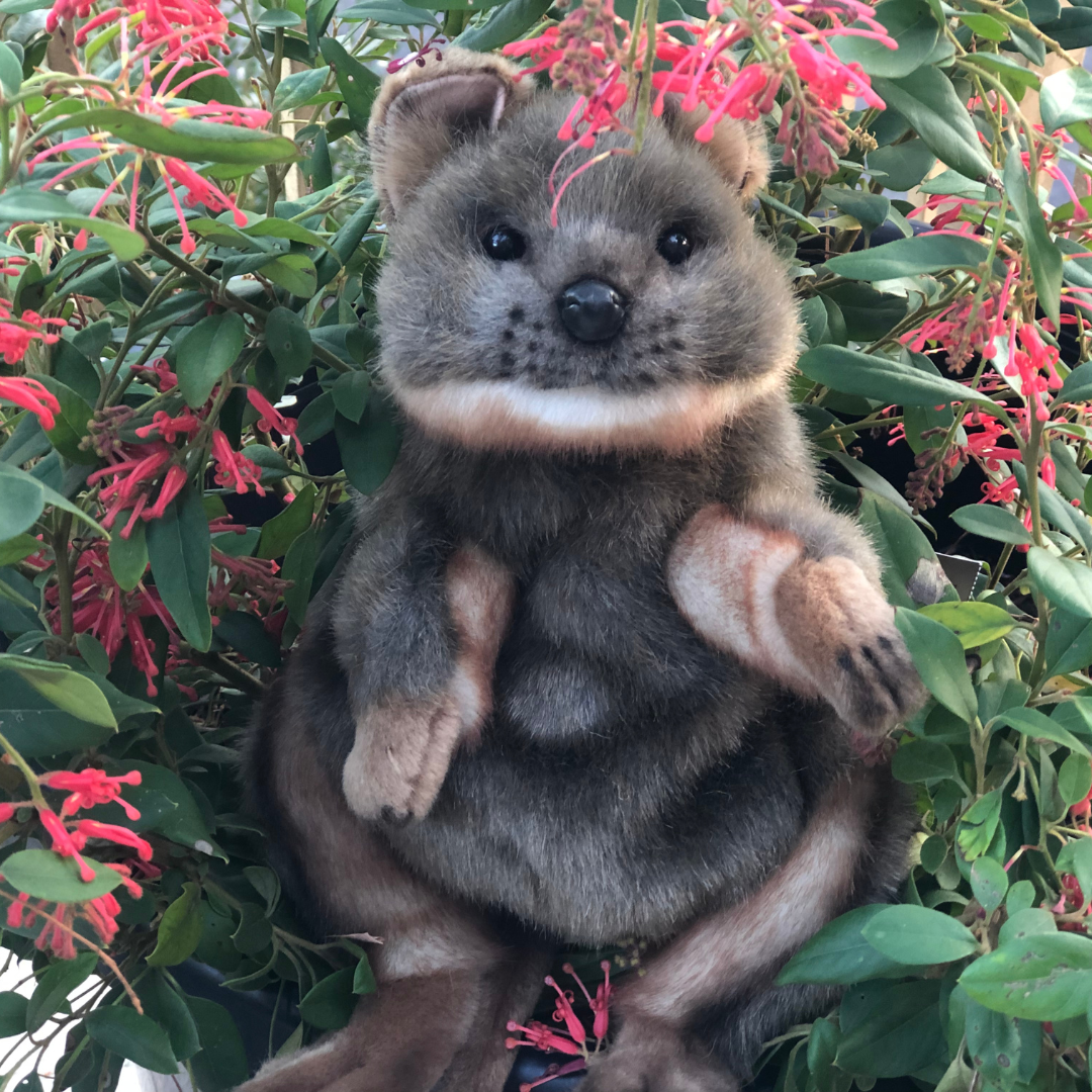 Quokka Puppet 33CM