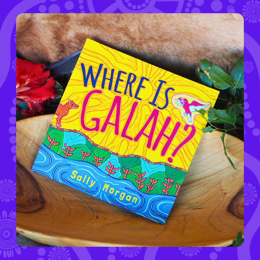 Shirley's Book Bundle