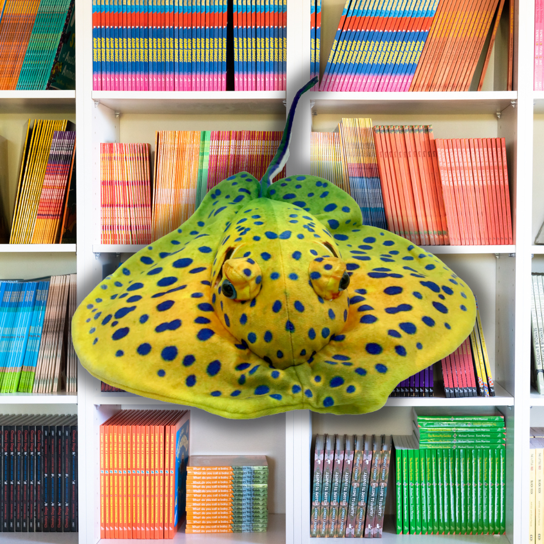 Solomon Stringray Soft Toy 50CM