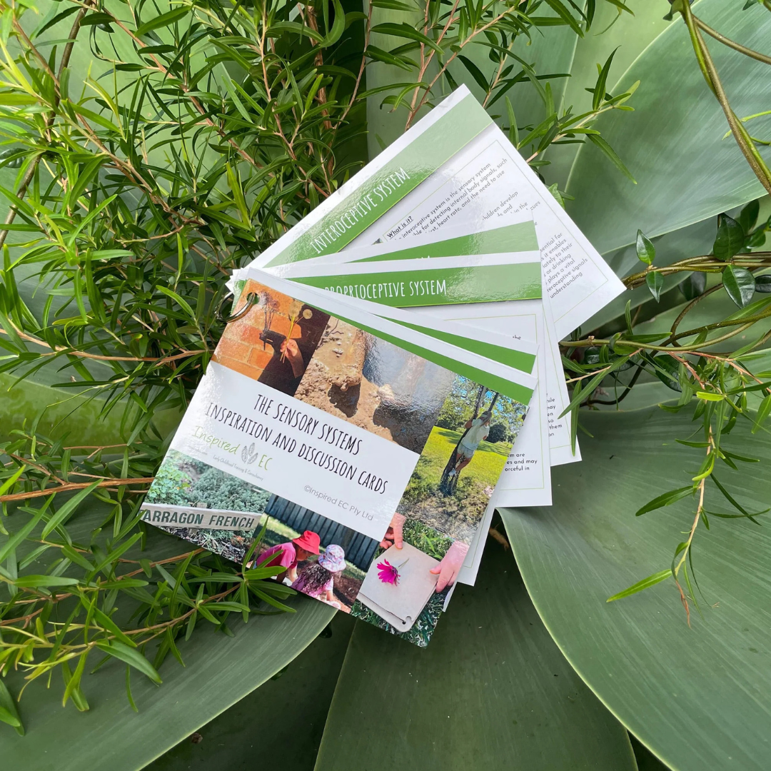 The Sensory Systems Inspiration and Discussion Cards