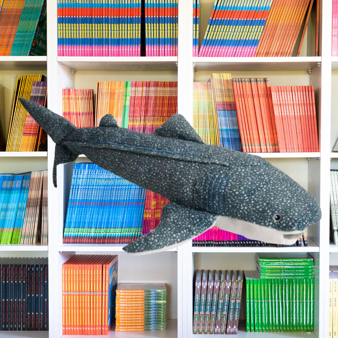 Waverley Whale Shark (Eco) Soft Toy 53CM