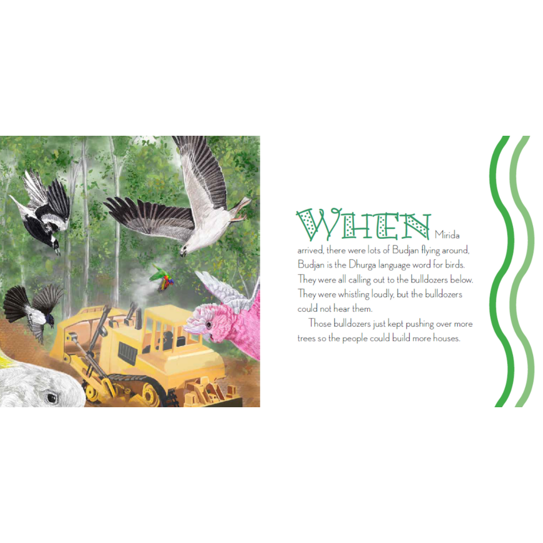 “When The Trees Disappeared" By Trish Butler, Elizabeth Hawkes (Illustrator)