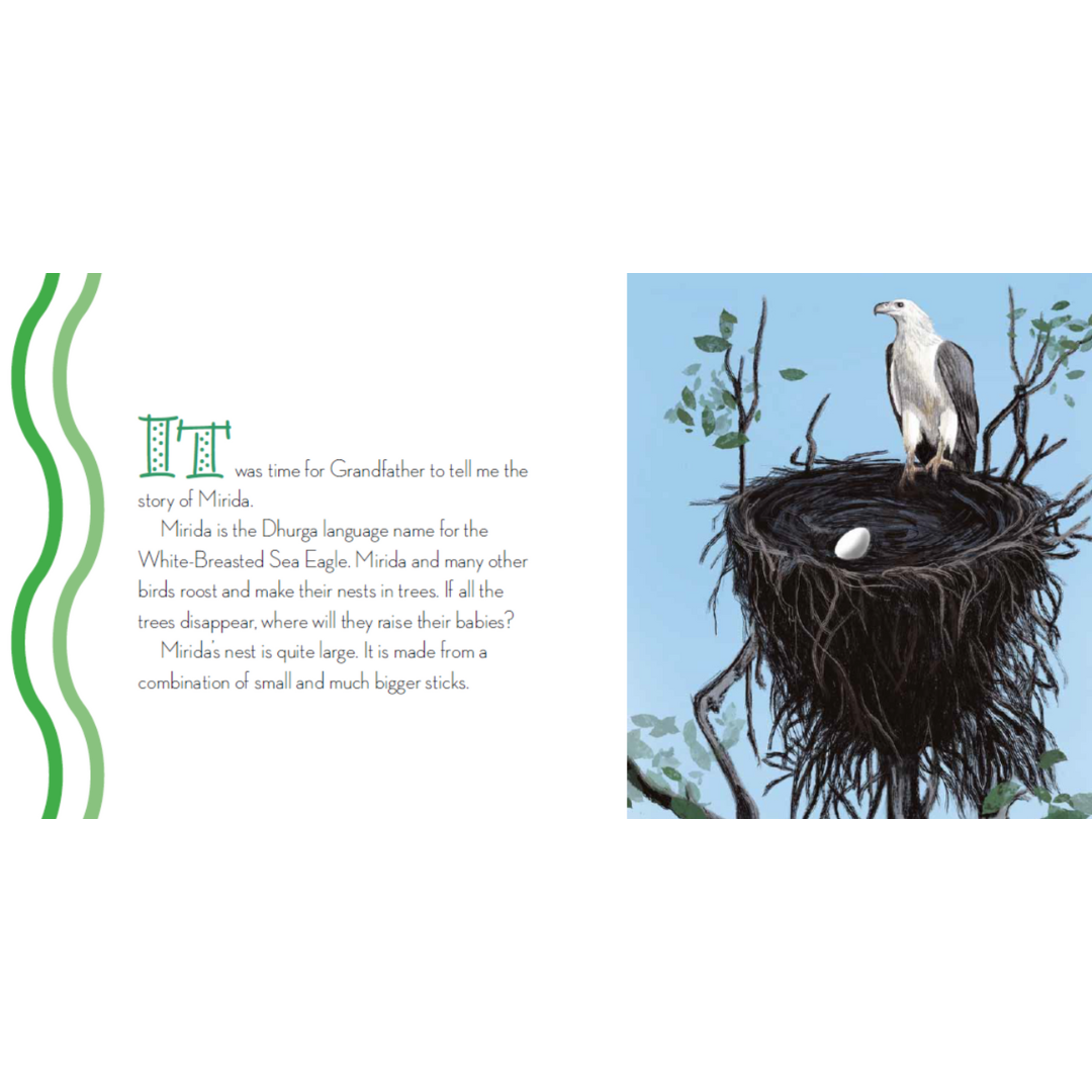 “When The Trees Disappeared" By Trish Butler, Elizabeth Hawkes (Illustrator)