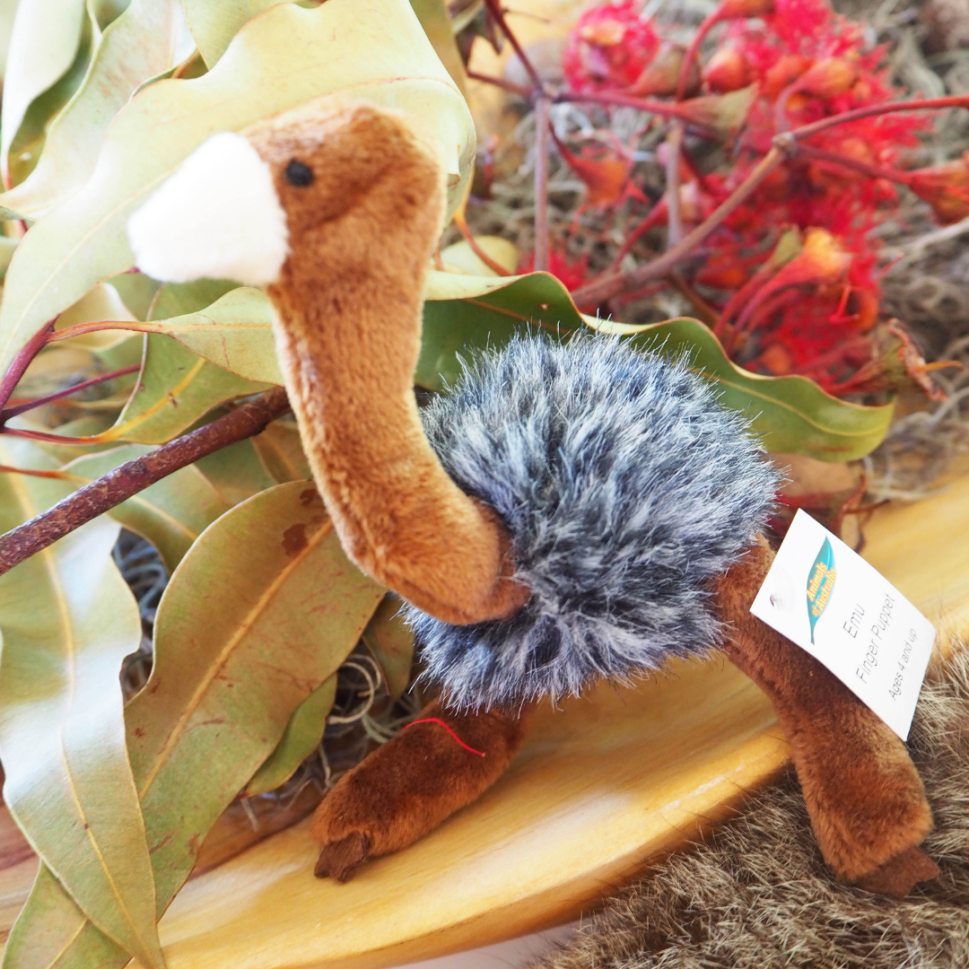 Australian Wildlife Discovery Set