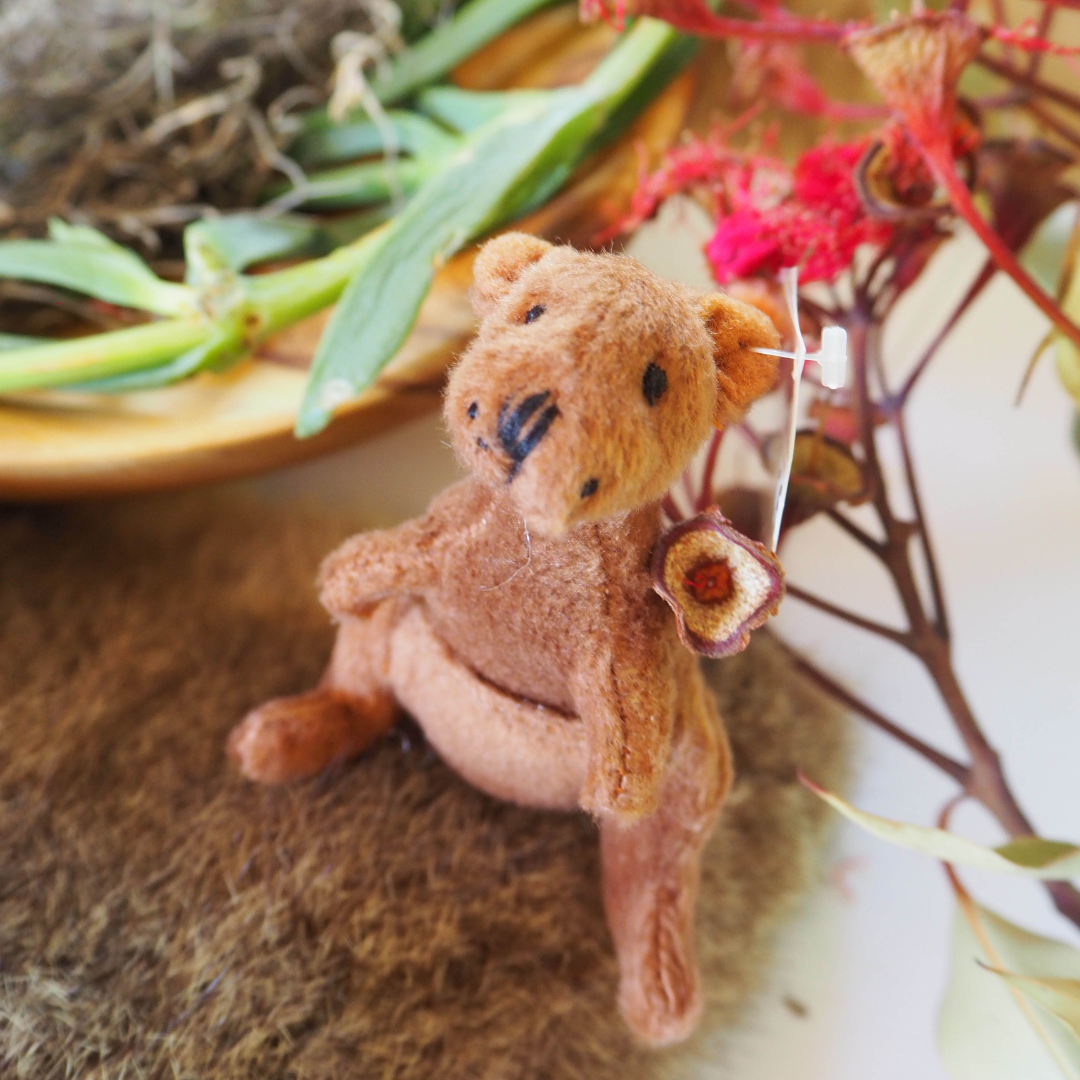 Australian Wildlife Discovery Set