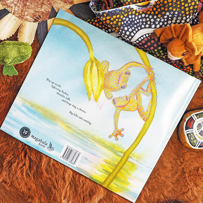 “Big Fella Rain” By Beryl Webber, Fern Martins (Illustrator)