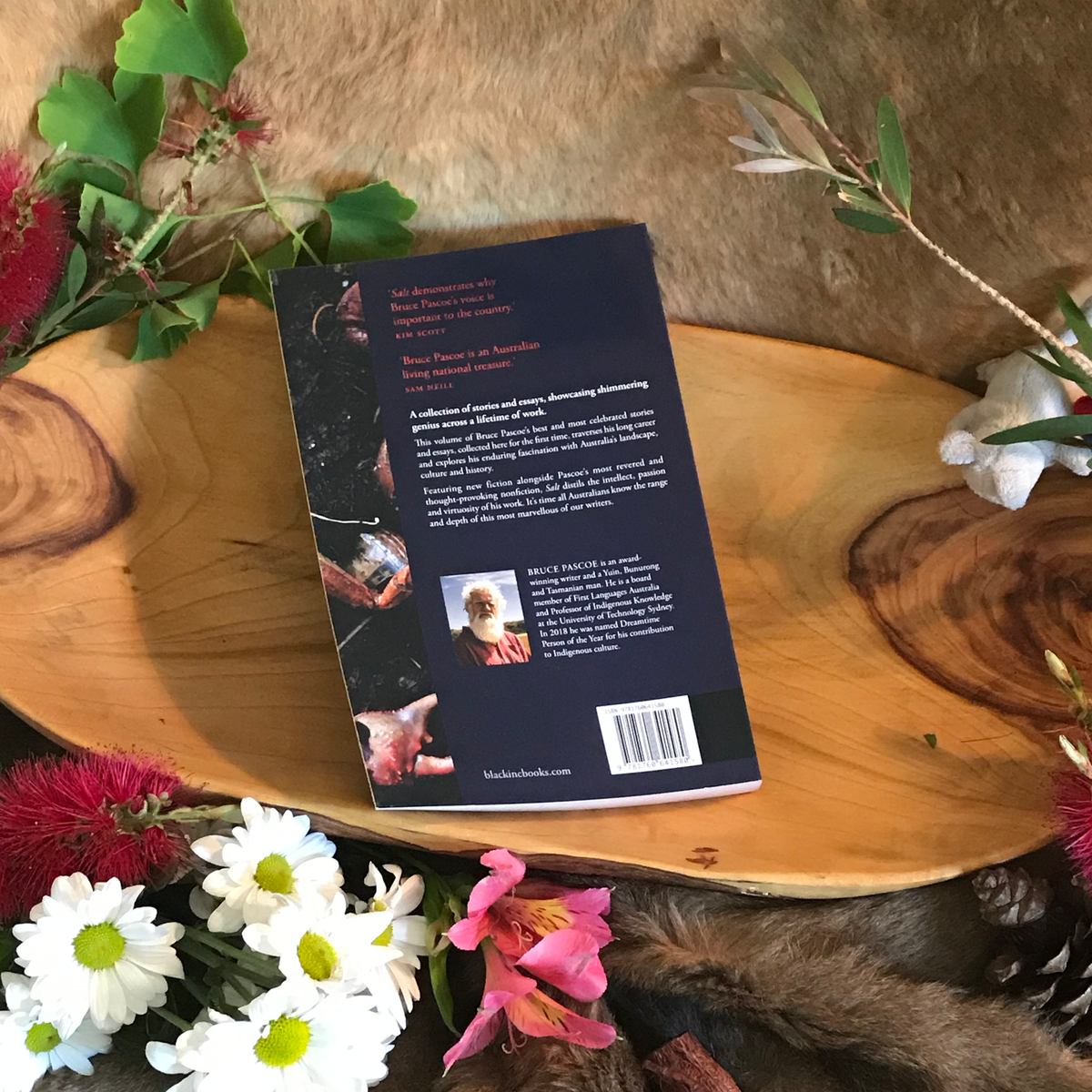 "Salt" By Bruce Pascoe