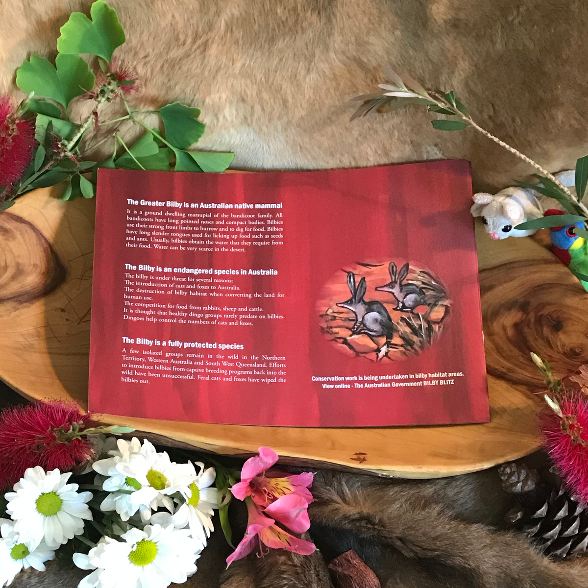 “Warrikirti Christmas Bilby” By Lyndall Stavrou, Jeni Bullock (Illustrator)