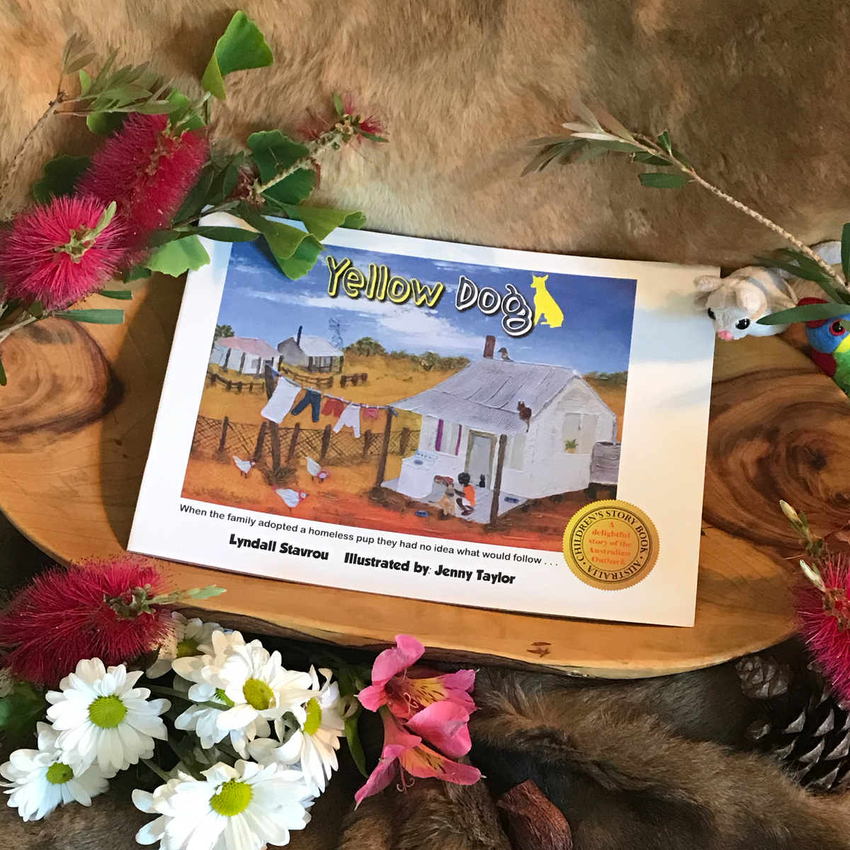 "Yellow Dog" By Lyndall Stavrou, Jenny Taylor (Illustrator)