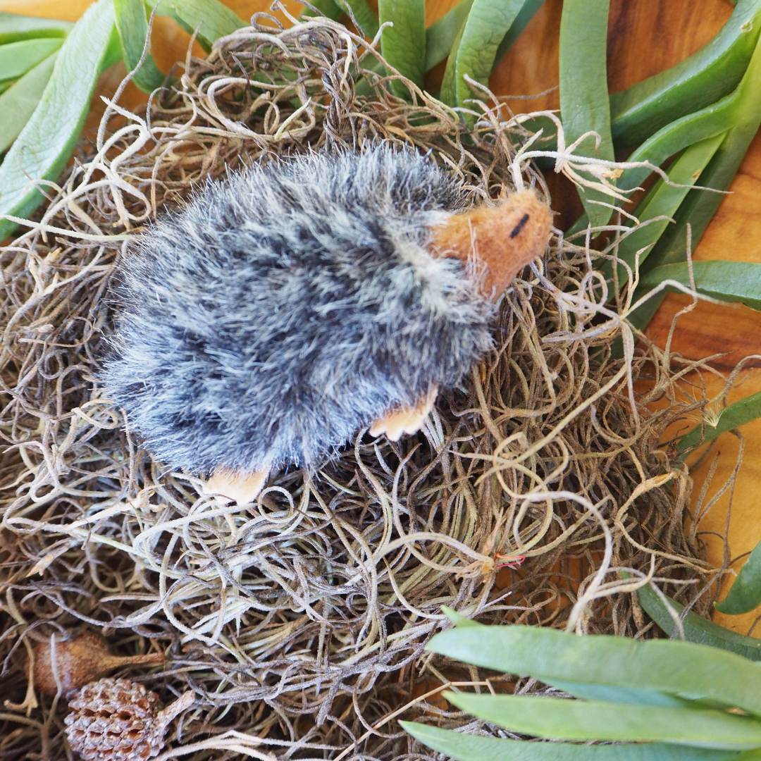 A gray echidna finger puppet nestled in a natural-looking grassy nest, with leaves and a wooden surface in the background.
