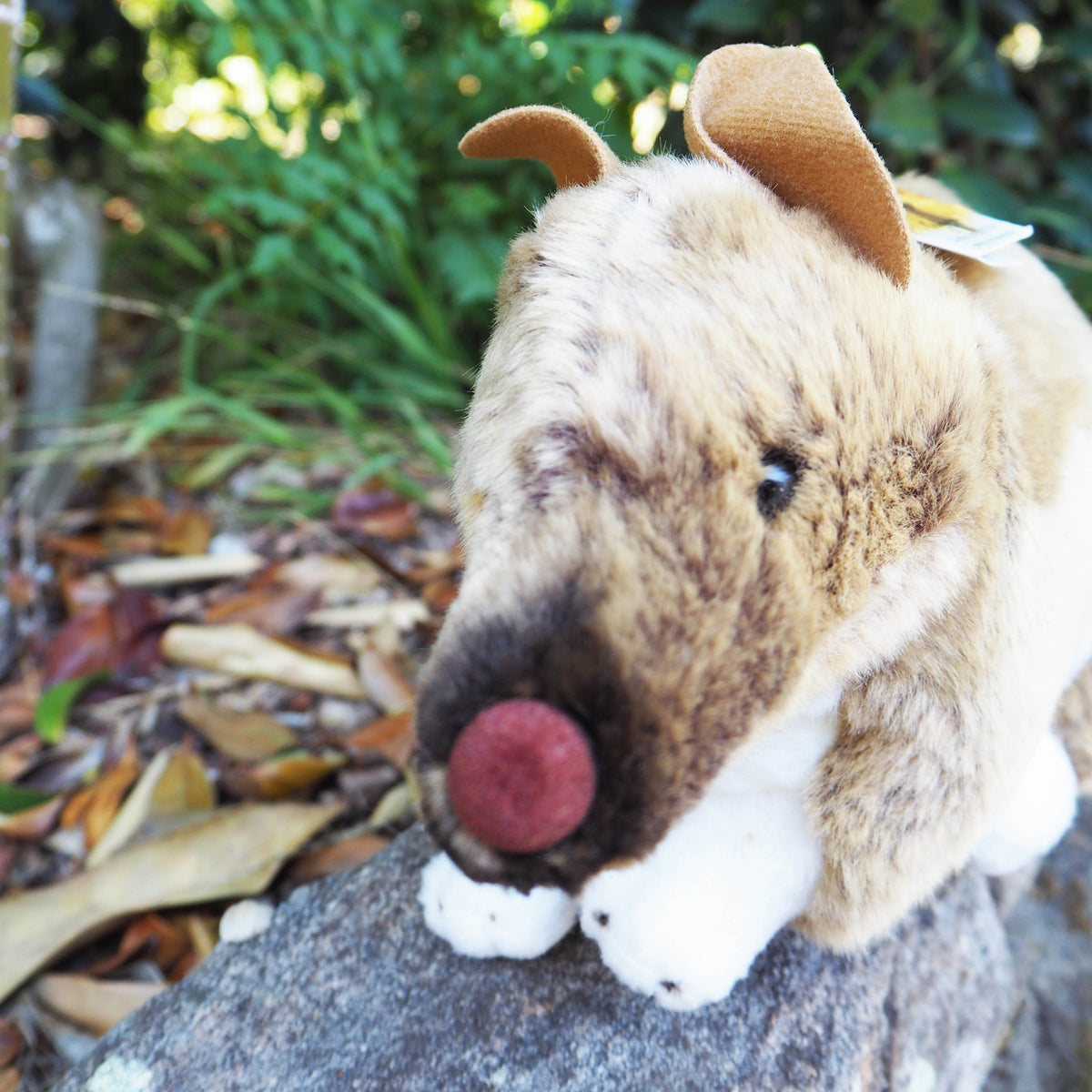 Bert - Plush Australian Bandicoot 28CM