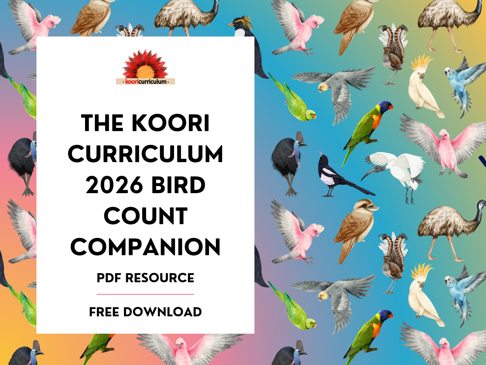 The Koori Curriculum 2026 Bird Count Companion