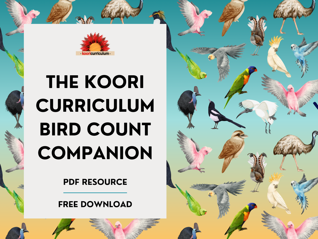 The Koori Curriculum Bird Count Companion