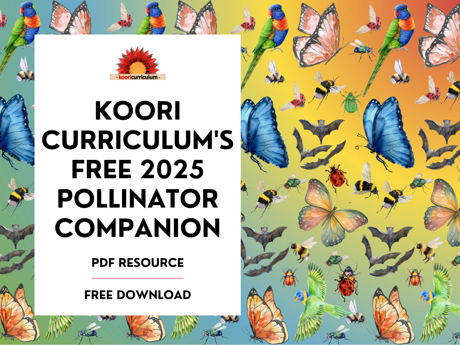 Koori Curriculum's Free 2025 Pollinator Companion
