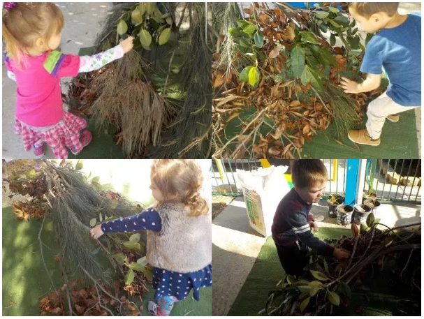 Explore & Develop Penrith South NAIDOC Week – Wednesday