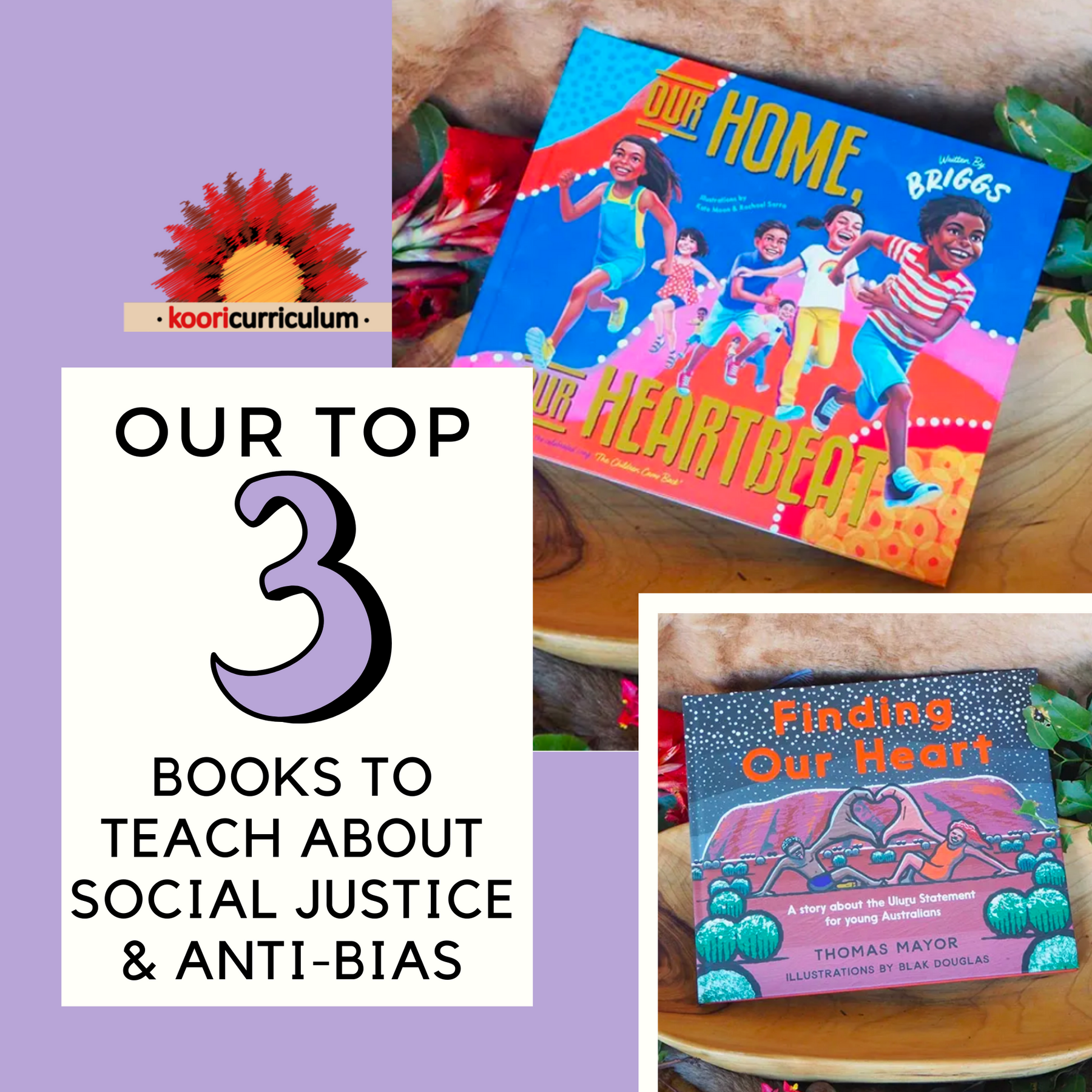 Our Top Three Books to Teach about Social Justice and Anti Bias | Koori ...