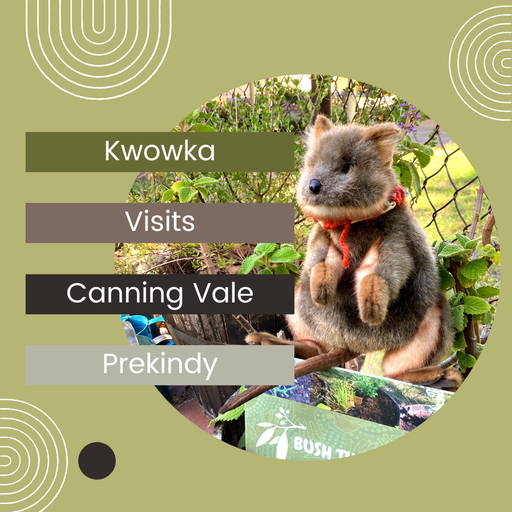 Kwowka visits Canning Vale Prekindy