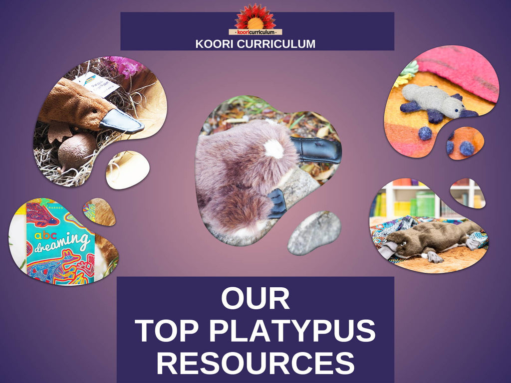 Our Top Platypus Resources