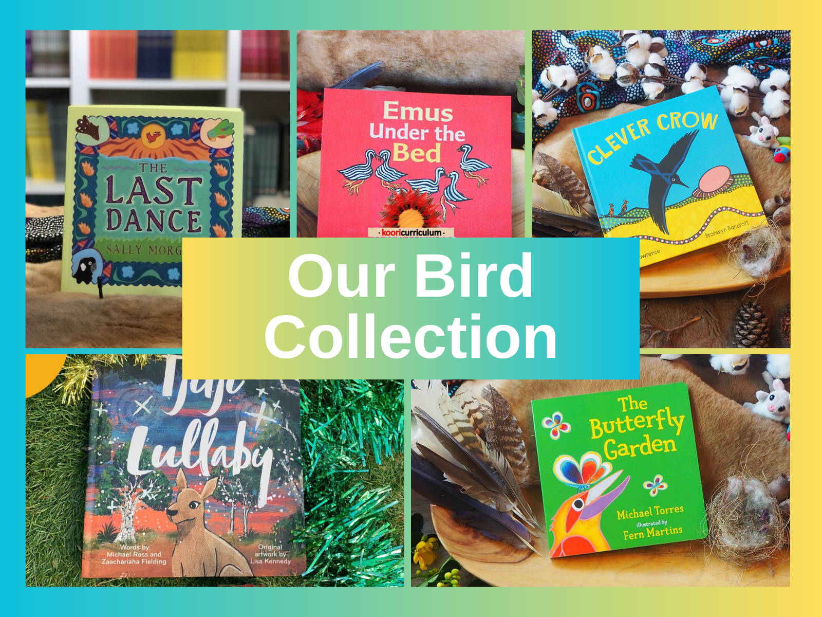 Our Bird Collection