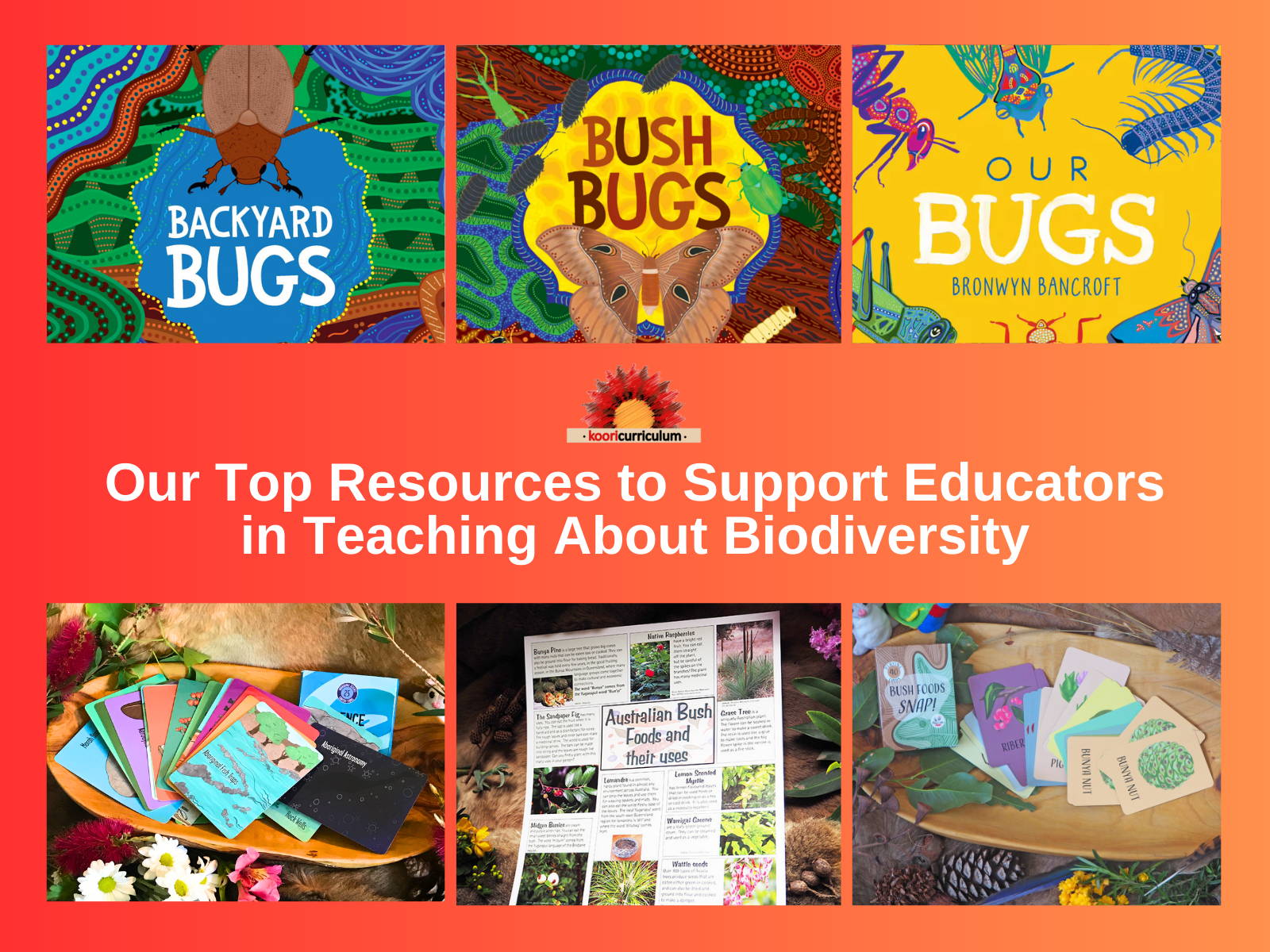 Our Top Resources to Support Educators in Teaching About Biodiversity