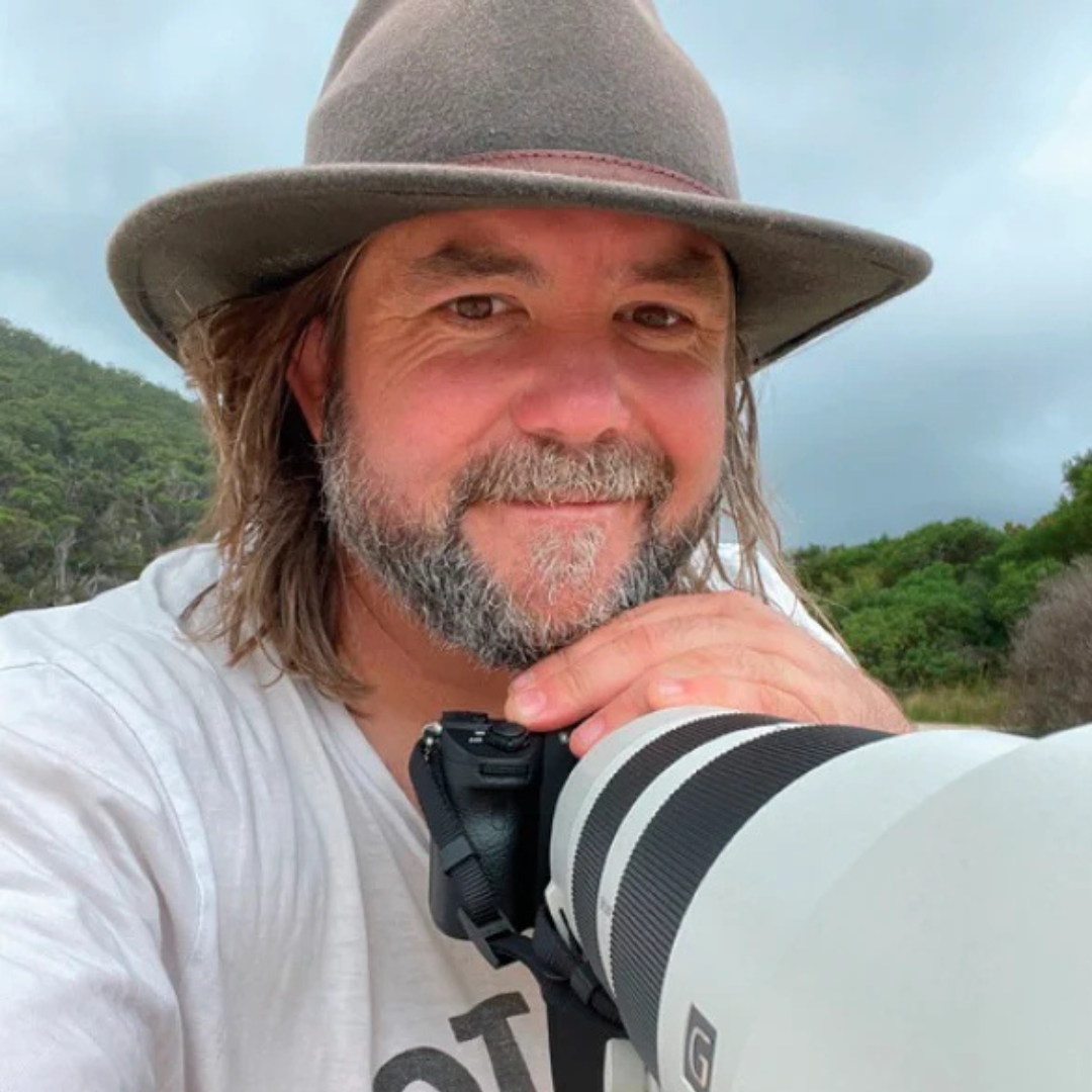 Myke Mollard Collection