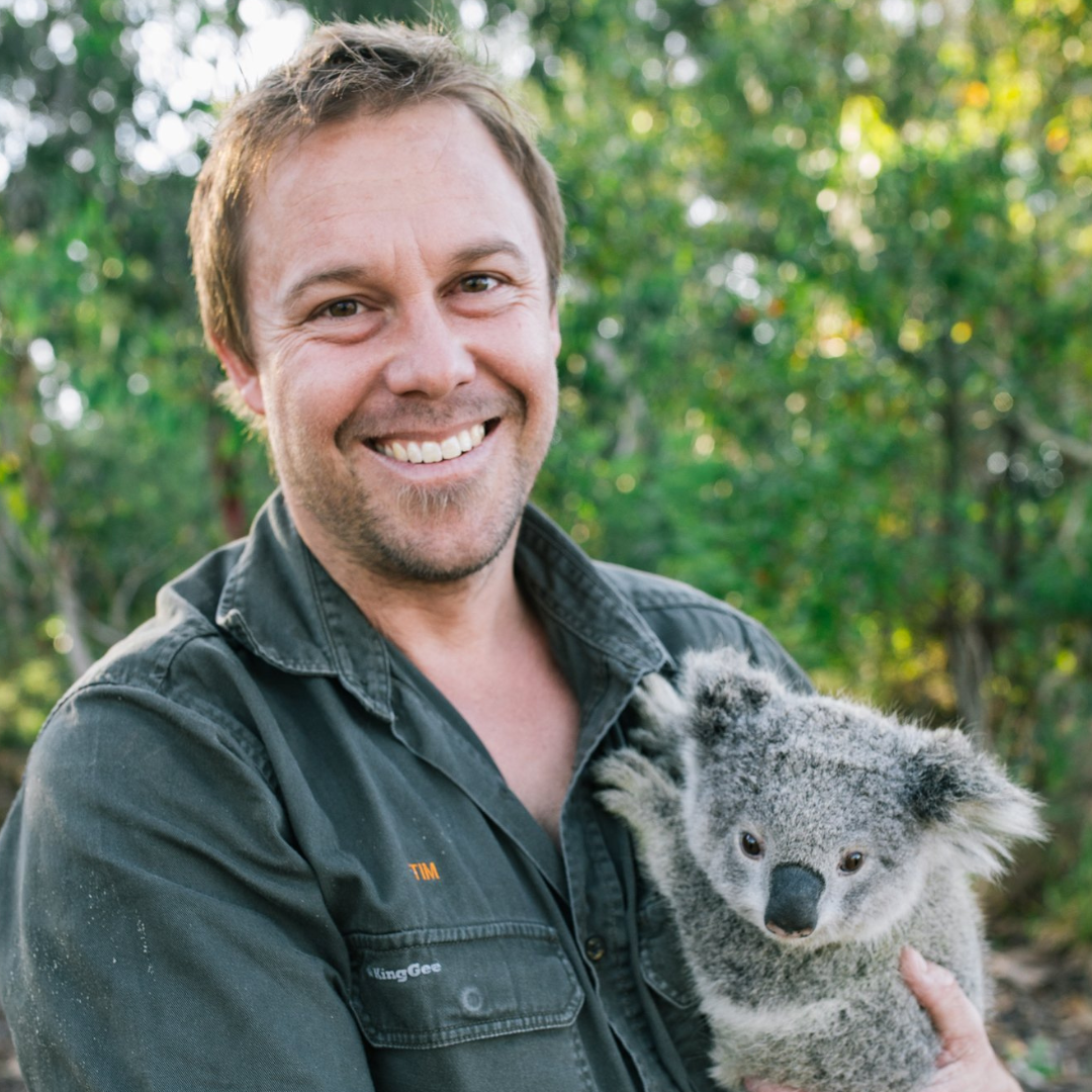 Tim Faulkner Collection