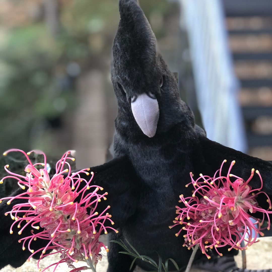 Black Cockatoo Puppet 49CM