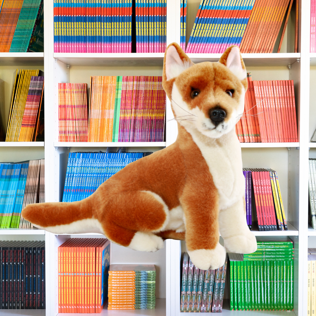 Byron – Tan Australian Dingo Size 25CM