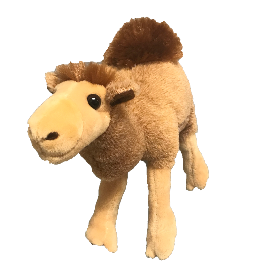 Cameron Camel