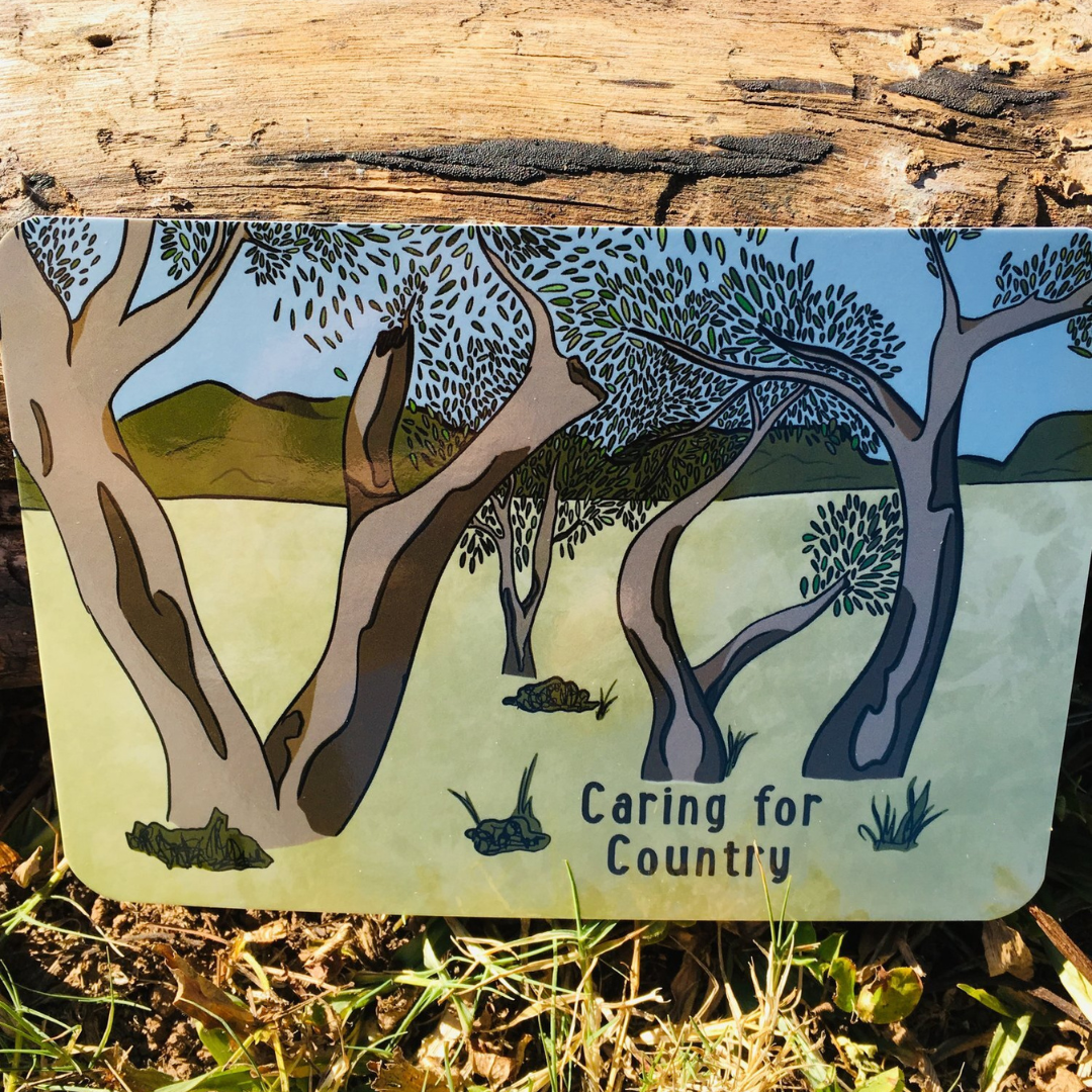 Aboriginal Topic Cards
