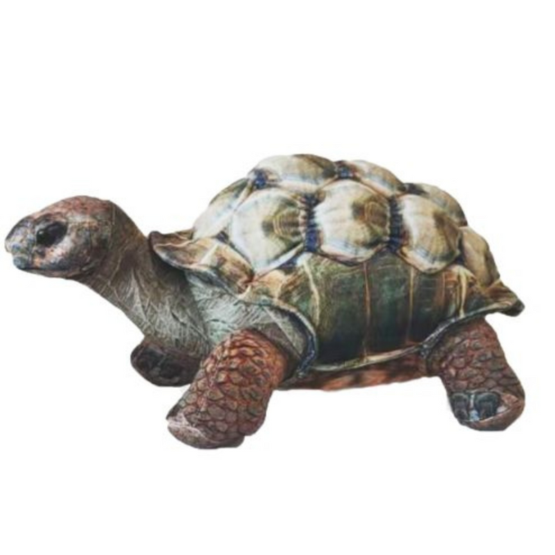 Darwin Tortoise