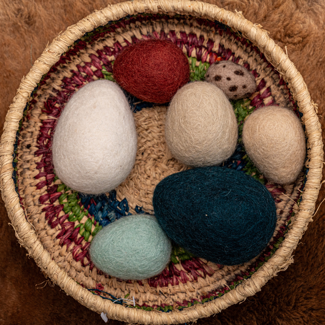 Felt Eggs (7 types of poultry eggs)