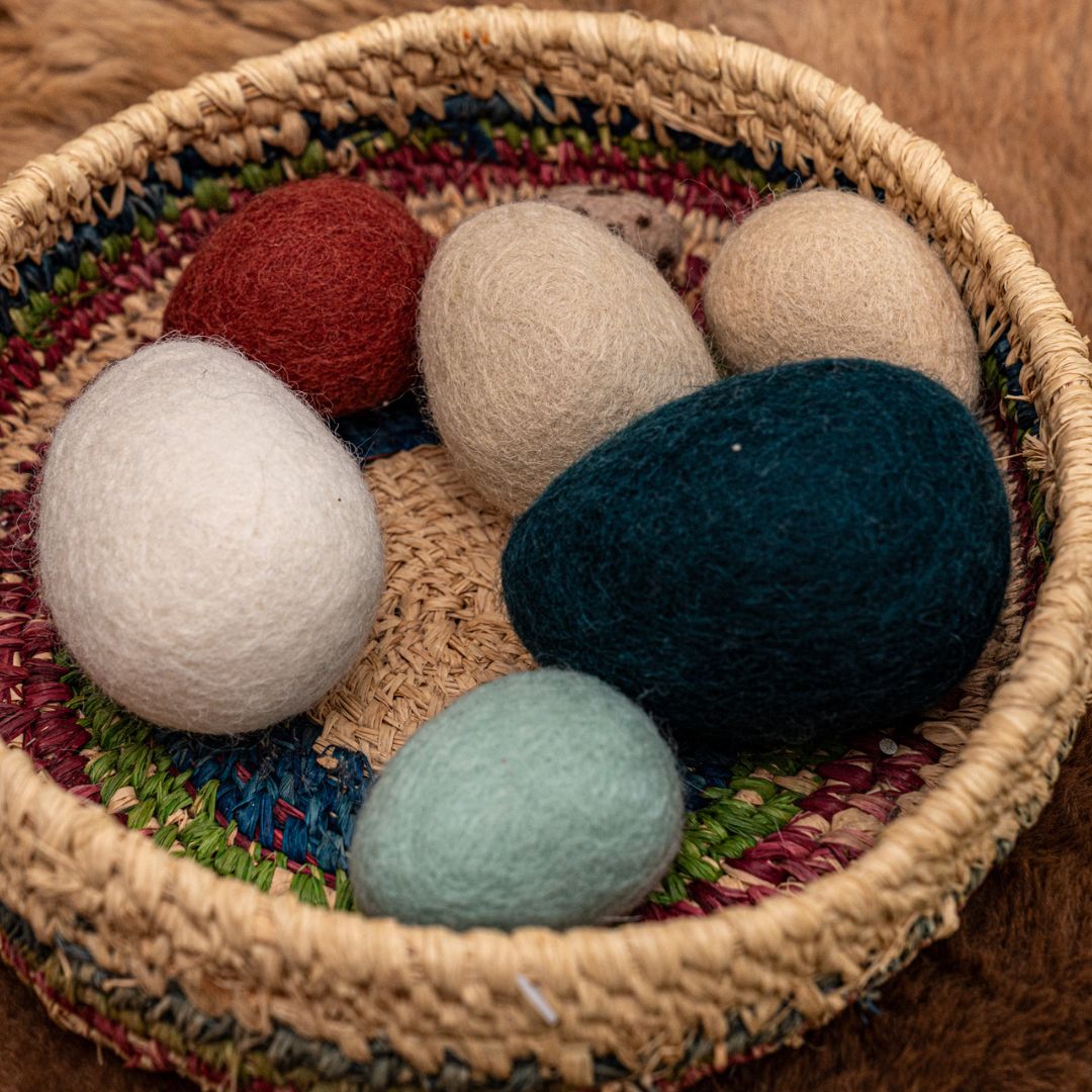 Felt Eggs (7 types of poultry eggs)