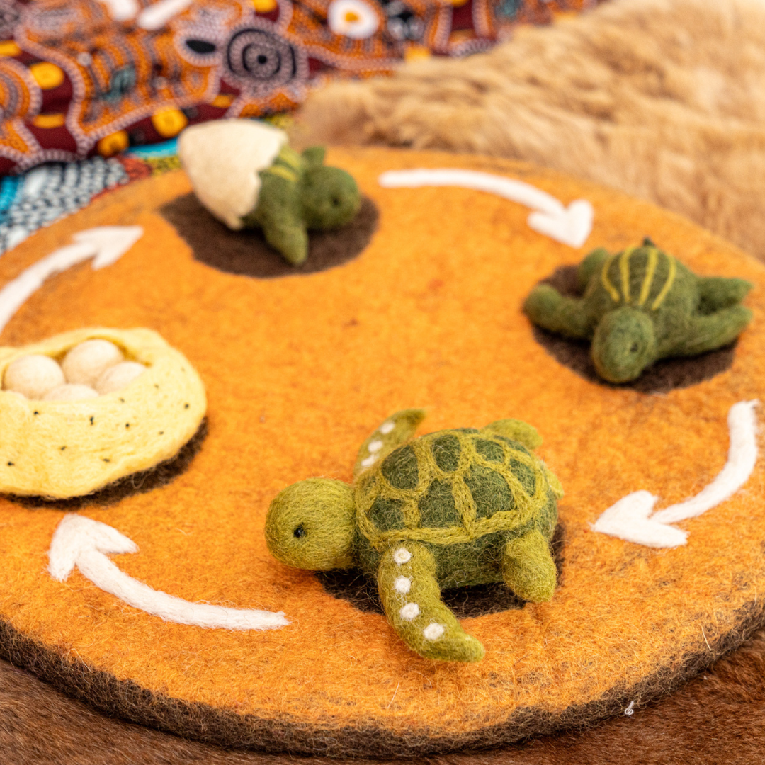 Felt Life cycle of Green Sea Turtle