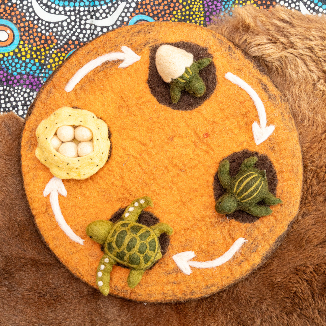 Felt Life cycle of Green Sea Turtle