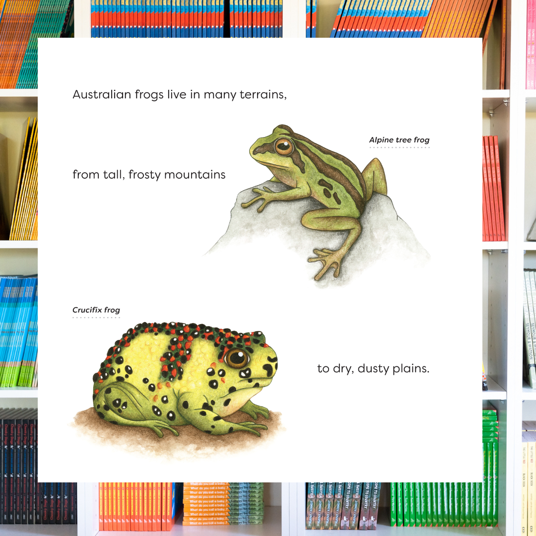 &quot;Fabulous Frogs&quot; By Katrina Germein, Suzanne Houghton (Illustrator)