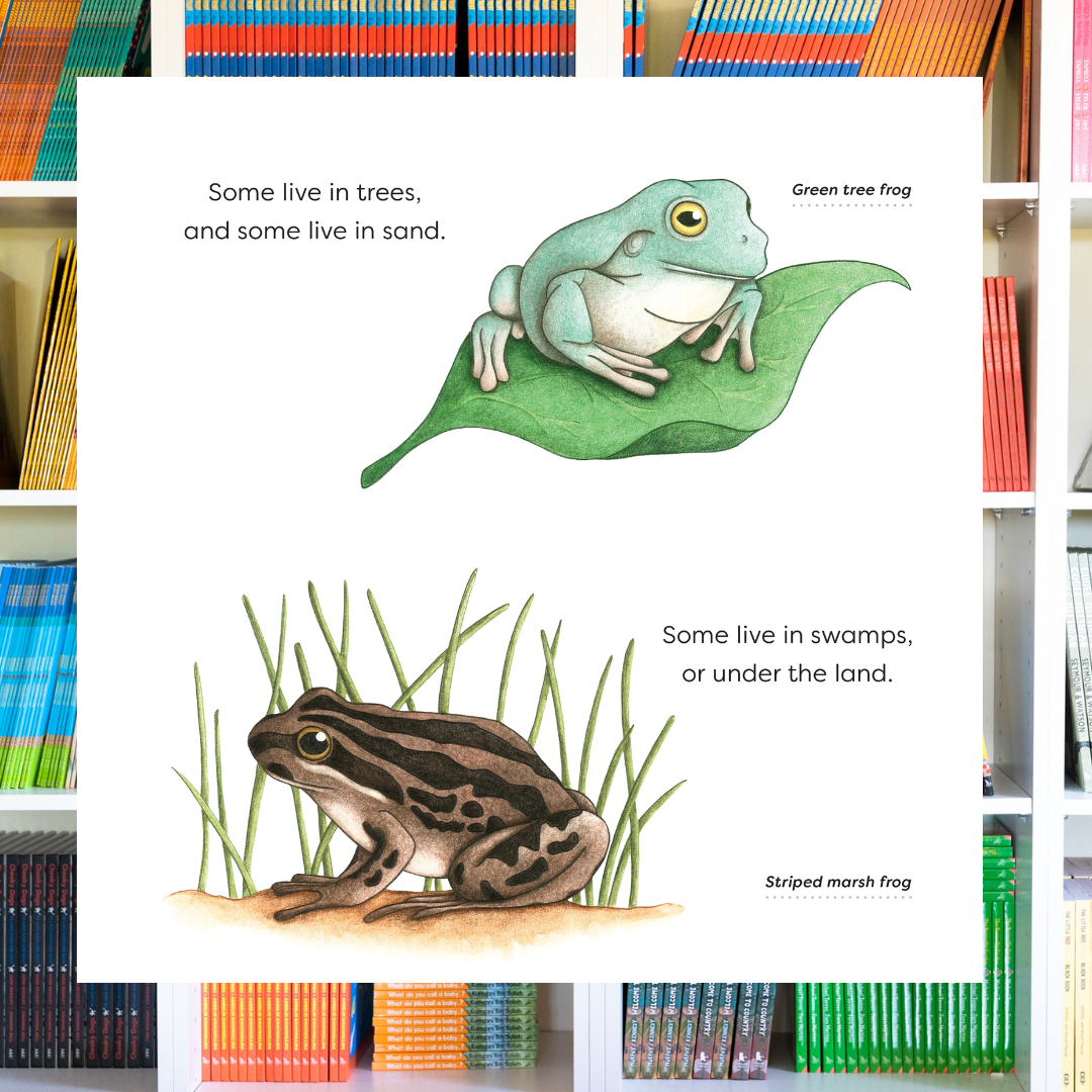 &quot;Fabulous Frogs&quot; By Katrina Germein, Suzanne Houghton (Illustrator)