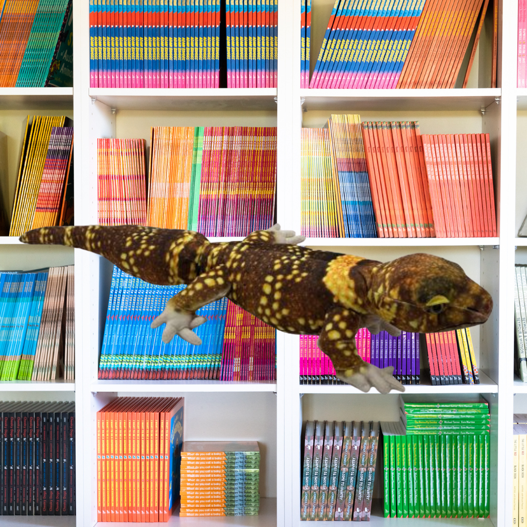 Bravo Gecko Soft Toy 60CM