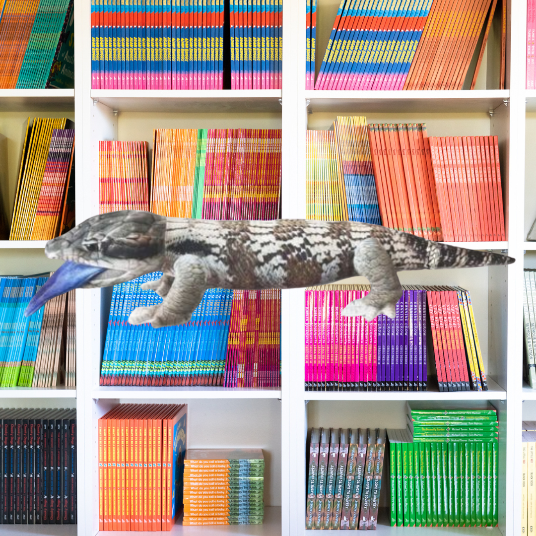 Jay Blue Tongue Skink Toy 50CM